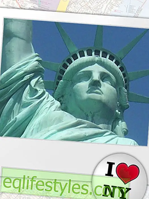ζωή - Έκθεση ταξιδιού: Εγώ καρδιά της Νέας Υόρκης!