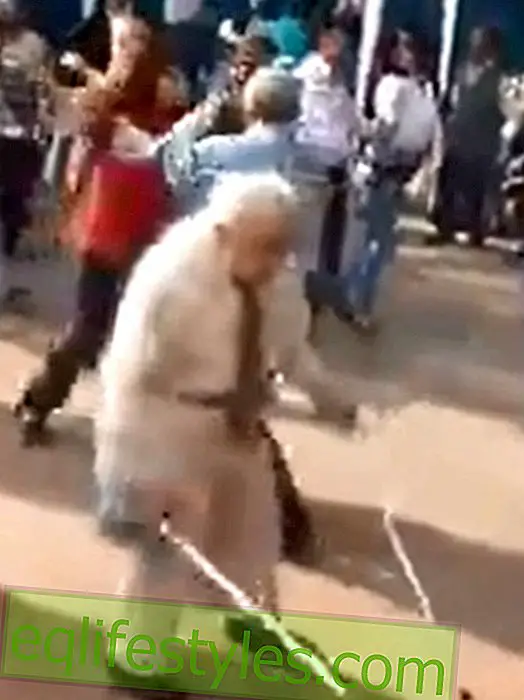 Video: Party - Grandpa throws away Krcken and dancing!