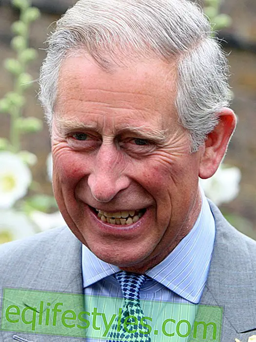 Prince Charles: Also on the 65th Birthday is working