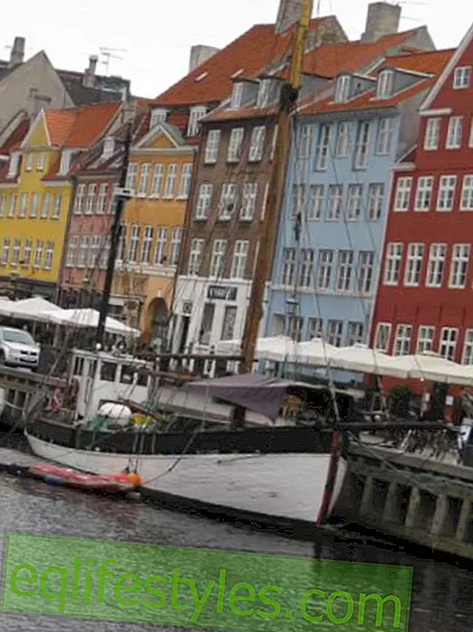 Insider tips from the editorial report: We were in Copenhagen