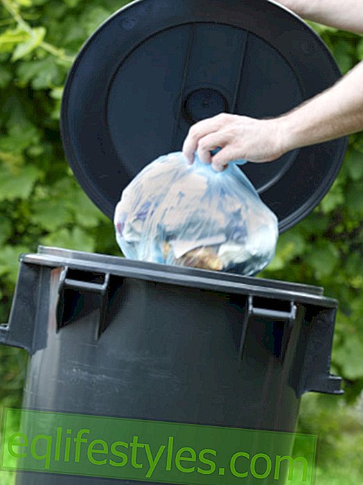 život: Separace odpadu: Chcete-li se vyhnout častým chybám v odpadu