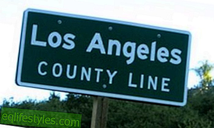 elämä - Los Angeles