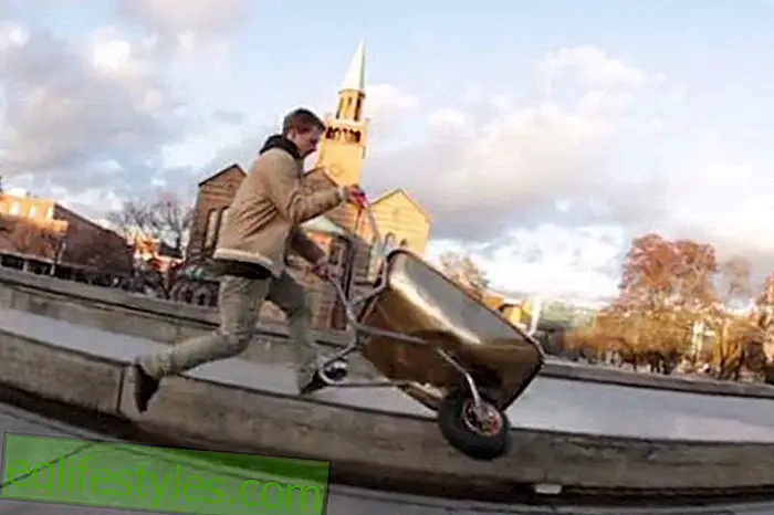 Video: Guy does stunts with the wheelbarrow