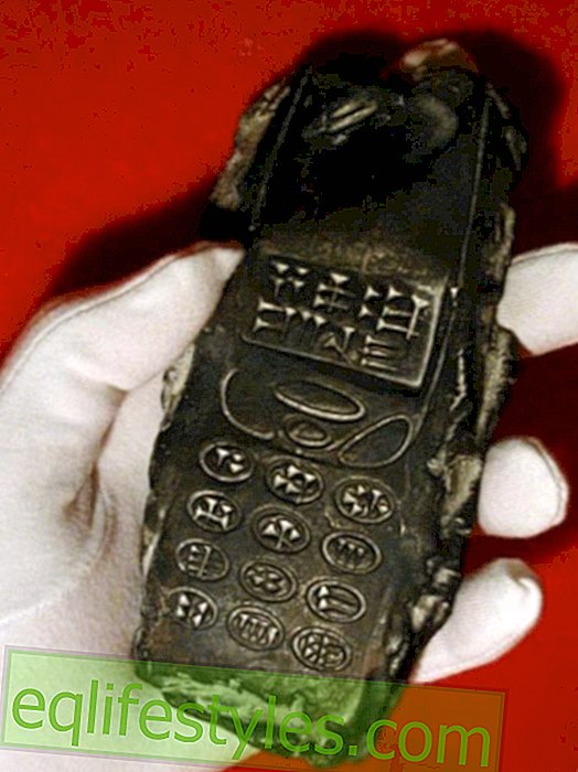 האם נמצא טלפון חייזרי בן 800 שנה באוסטריה?