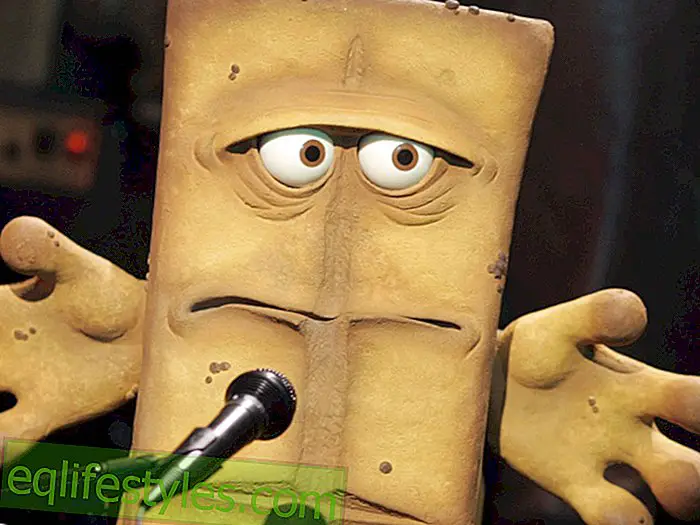 Bernd the bread gives a funny interview