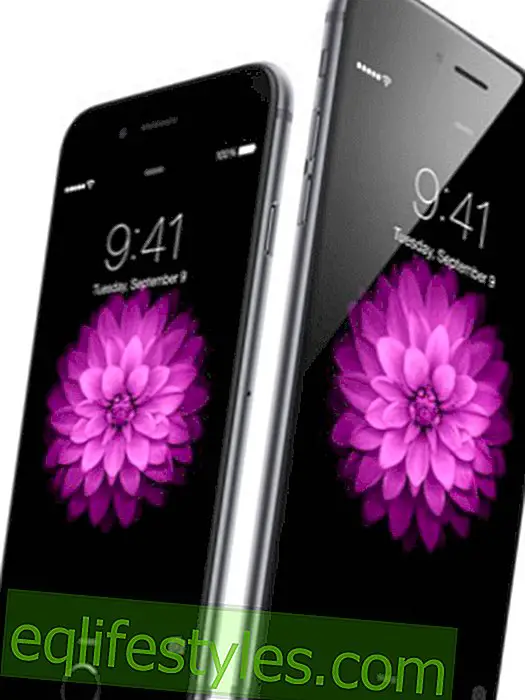 Attention, fausse publicité: iPhone6 ​​ne peut pas être chargé au micro-ondes