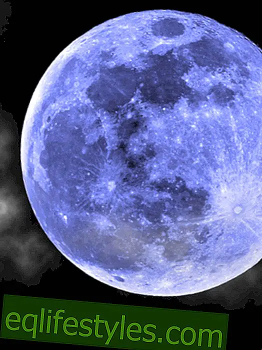 La Super Moon arrive: il n'a pas été aussi gros depuis 1982