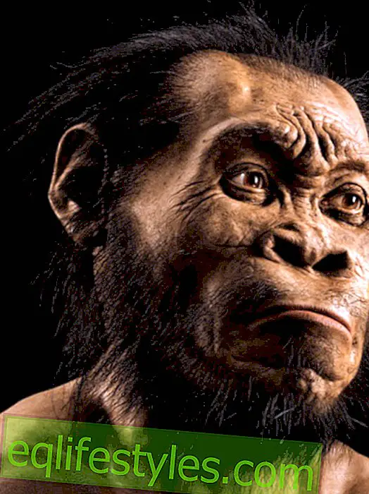 життя - Homo naledi: нові види людини виявлені в Африці