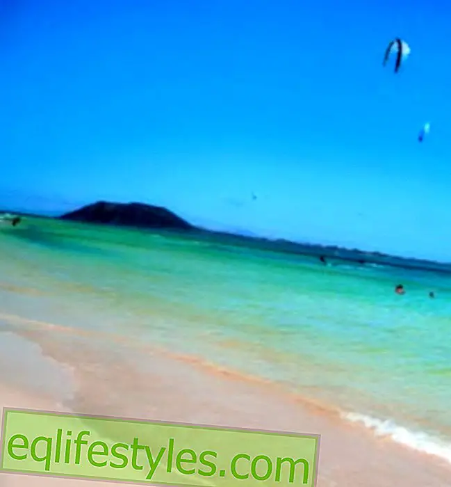 Life - Fuerteventura - Welcome to the island of the sun!