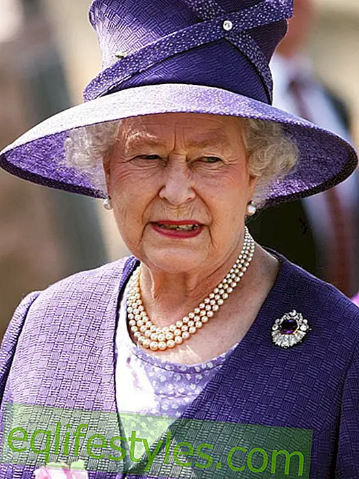 Life - The Queen is not amused