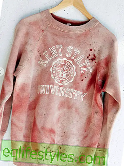 elu - Urban Outfitters: Kent State'i kampsuniga šokeeritud rõivakett