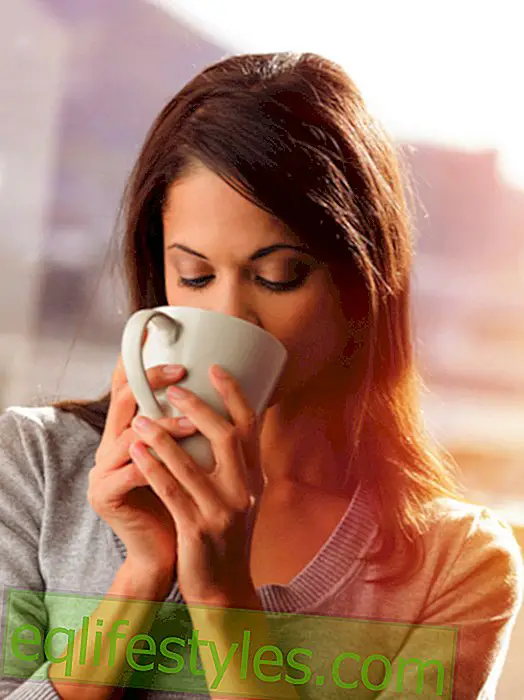 Life - Dangerous tea consumption: pollutants in black tea!