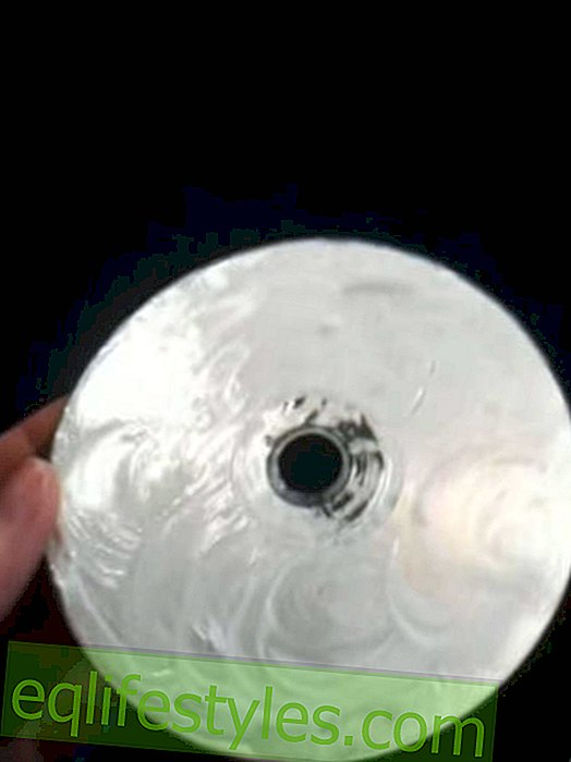 Yksinkertaisesti nerokas: korjaa naarmuuntunut CD tai DVD