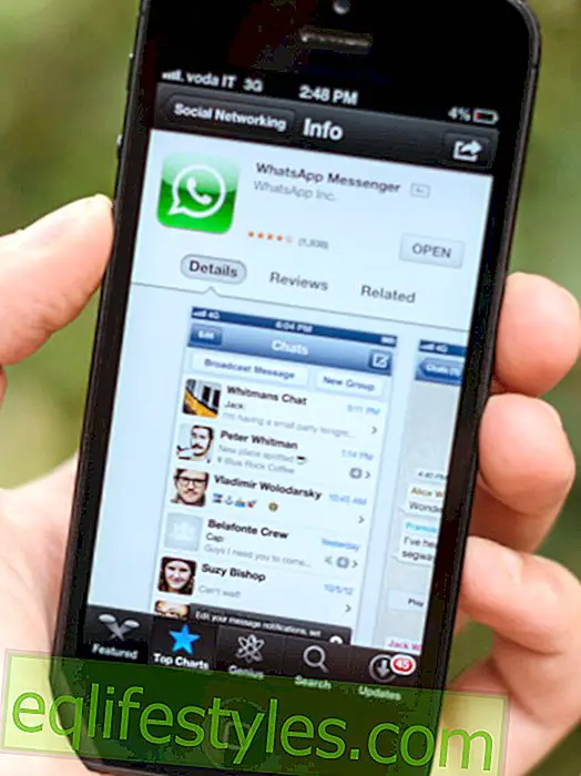 WhatsApp: Το μπλε σημάδι ελέγχου εμφανίζει τα αναγνωσμένα μηνύματα