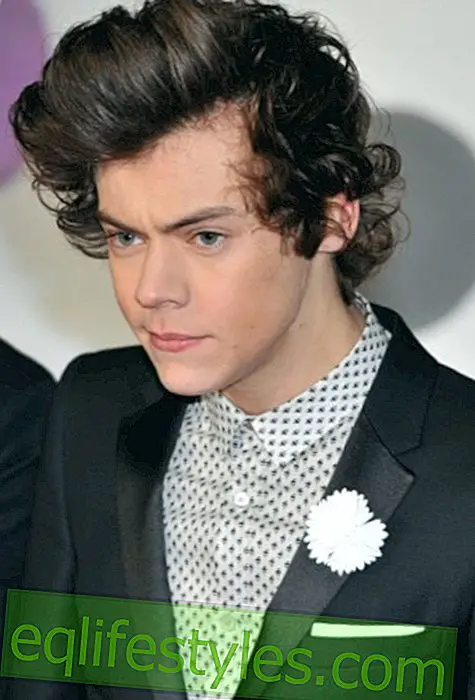 Does Harry Style hunt for Selena Gomez and Justin Bieber's mothers?