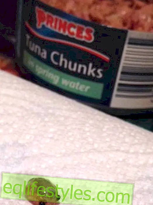 Mom discovers shocking in tuna can