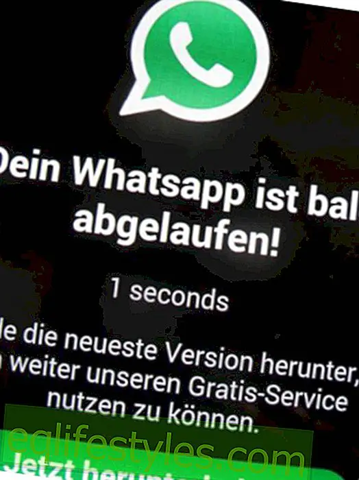 Whatsapp Abgelaufen 2021