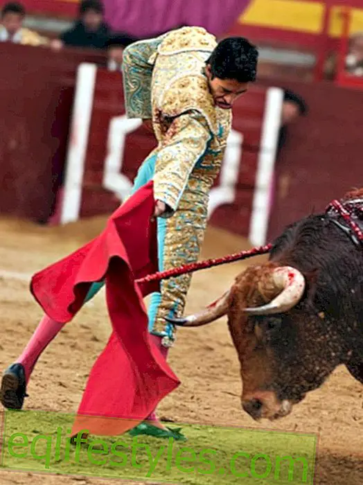 Life - Bullfighting: Four dead bullfights in 3 days
