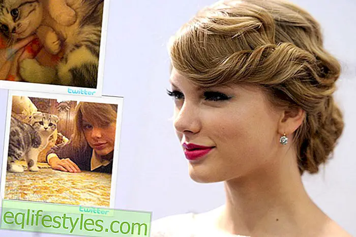 Taylor Swift a její kotě