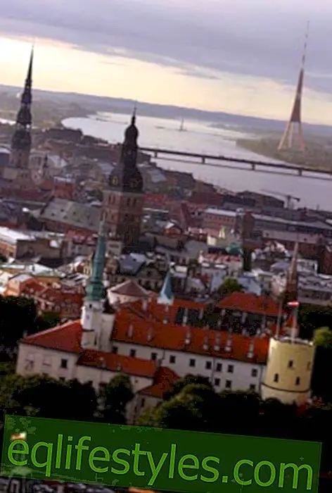 Латвия - Красива страна на плажа на Балтийско море