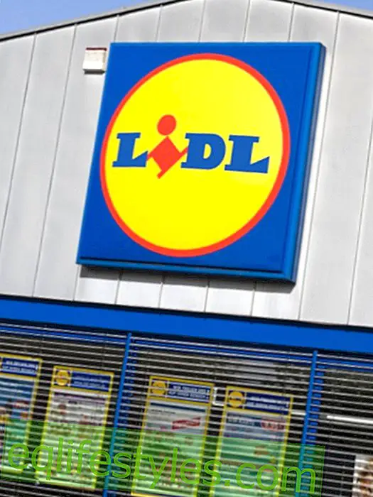 New boss: Is he re-making our Lidl branches?