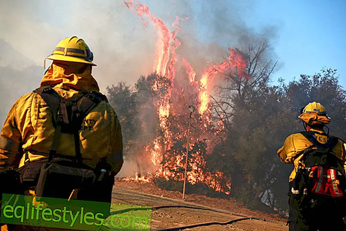 Désastre de flammes Incendies de forêt en Californie: ces étoiles ont perdu leur maison dans l'incendie