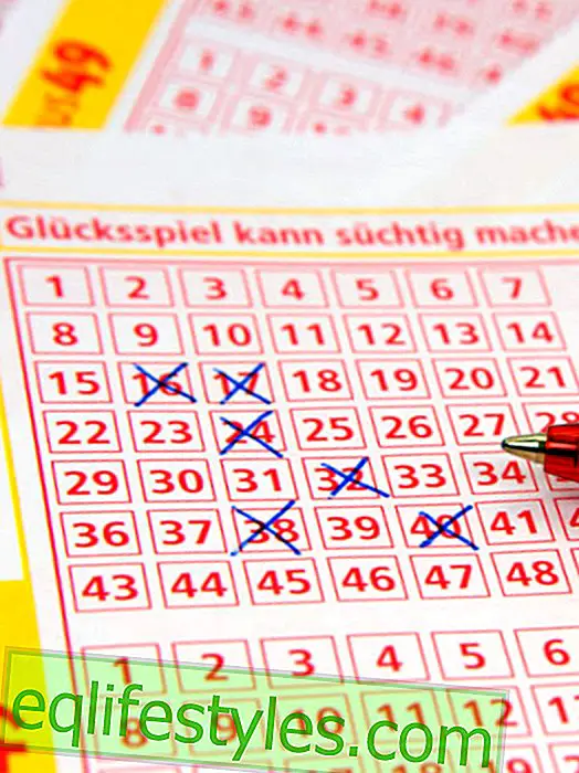 Life - Now playing the lottery: 32 million jackpot will be emptied today
