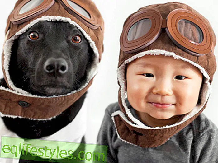 ชีวิต: เด็กและสุนัขในลักษณะพันธมิตร: เพื่อนที่ดีงาม
