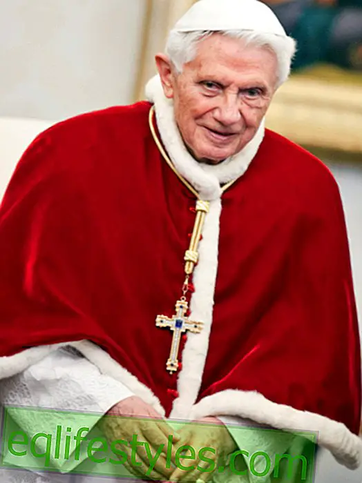 חיים - האפיפיור בנדיקטוס השישה עשר: האמת על התפטרותו