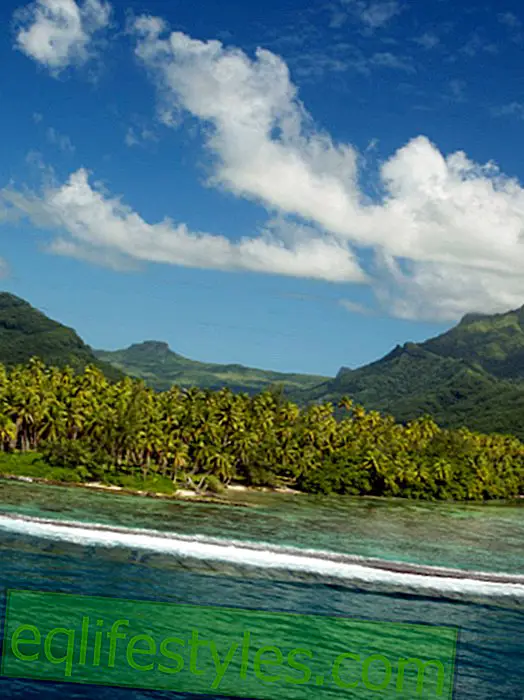 Unistuste saared Tchibos - alates 60 000 eurost
