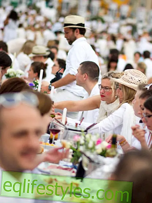 Life - Diner en blanc: All information about the white dinner