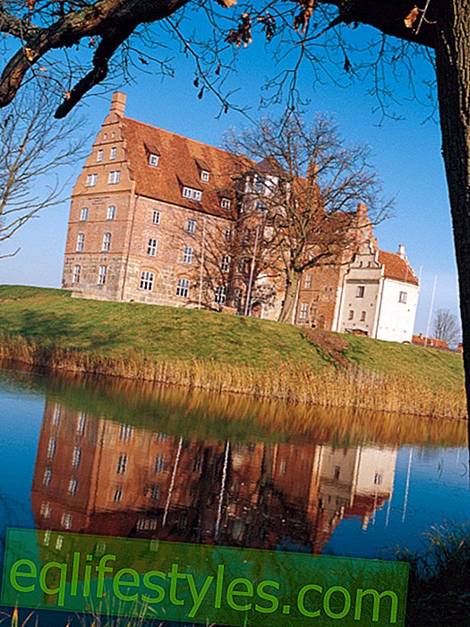 Мекленбург-Передня Померанія - Королівський відпочинок у замку