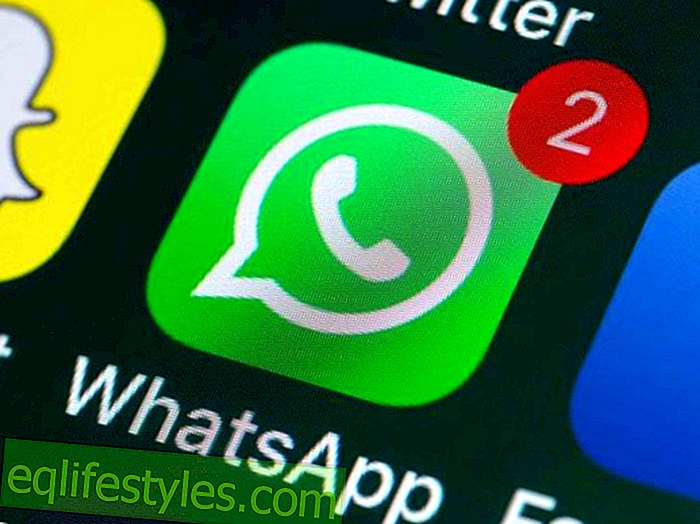 WhatsApp gehackt - aktualisiere unbedingt deine App!