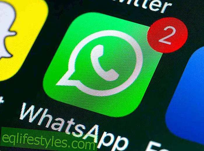 Life - VulnerabilityWhatsApp hacked - be sure to update your app!