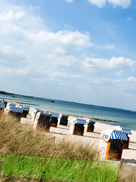 Life - Baltic Sea: thousands of vacationers in mortal danger!