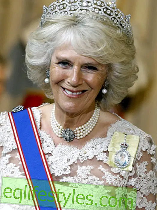 Duchess Camilla: itkien hän tunnusti syyllisyytensä!