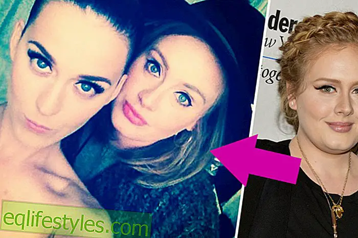 Life - So thin!  Adele met Katy Perry after her diet and was barely recognized