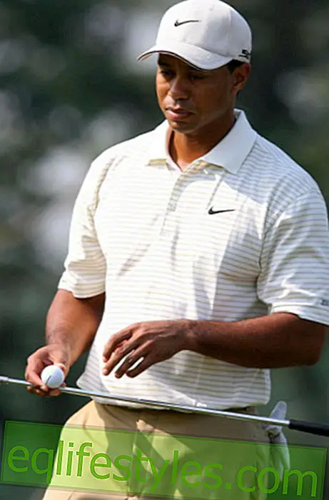 život - Tiger Woods zmítá svůj návrat
