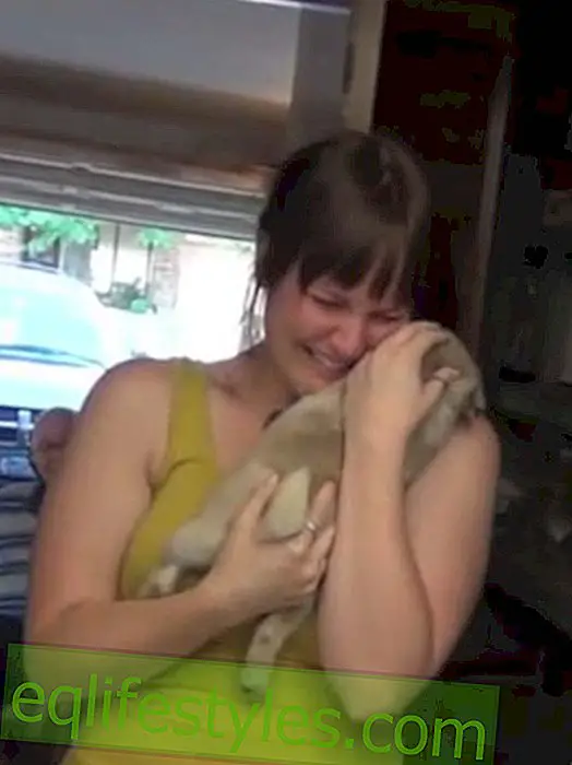 Life - Video: Wonderful puppy surprise