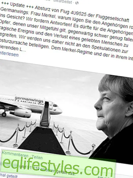 Why is Merkel lying ?!  Anger over plane crash