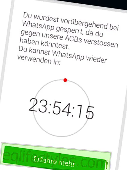 elämä - WhatsApp lukitsee WhatsApp Plus -käyttäjät: mitä tehdä?