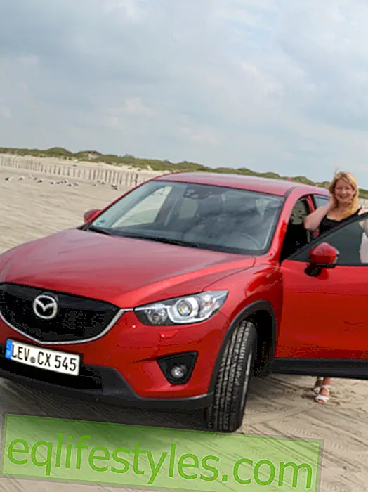 Life - Huge, red, totschick: The Mazda CX-5 convinced in the test