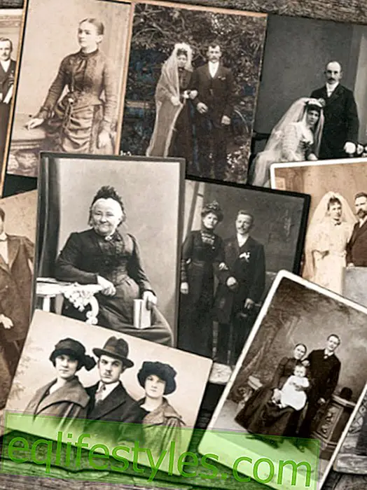 Life: Genealogy: How do I find my pedigree?