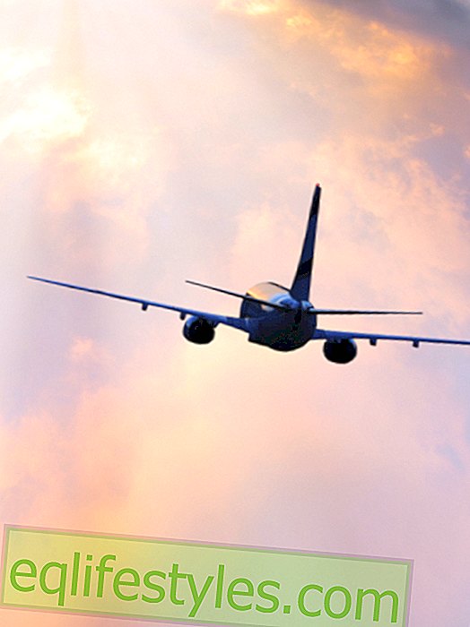 elämä: Menenkö alas ": Tämä sovellus on tarkoitettu ennustamaan lentokoneiden kaatumisia