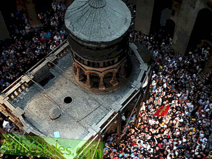 Surprising discoveryFor the first time in 460 years: researchers open the tomb of Jesus!