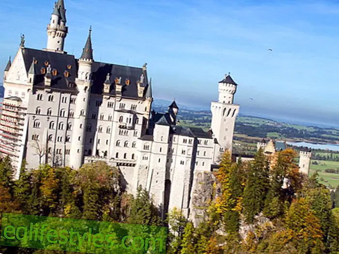 生活: ドイツで最も人気のある10の名所