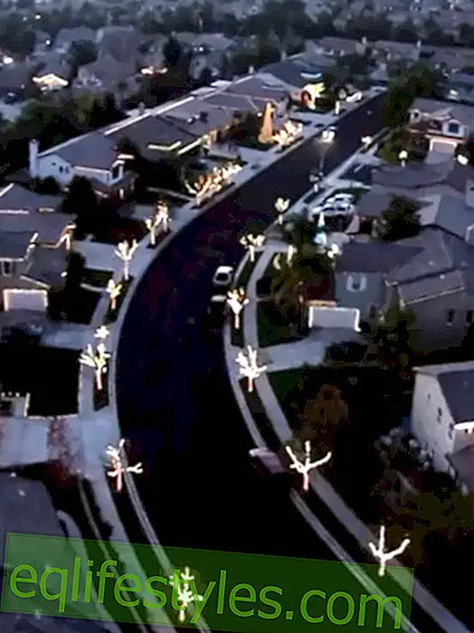 ζωή: Η γειτονιά εντυπωσιάζει με τα φώτα των Χριστουγέννων!