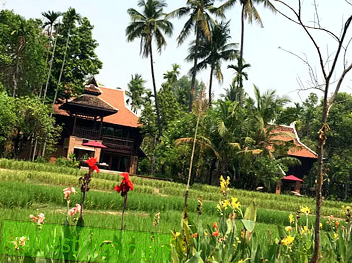 По стъпките на PandoraA Пътуване на север от Тайланд: По пътя в Чианг Май и Ламфун