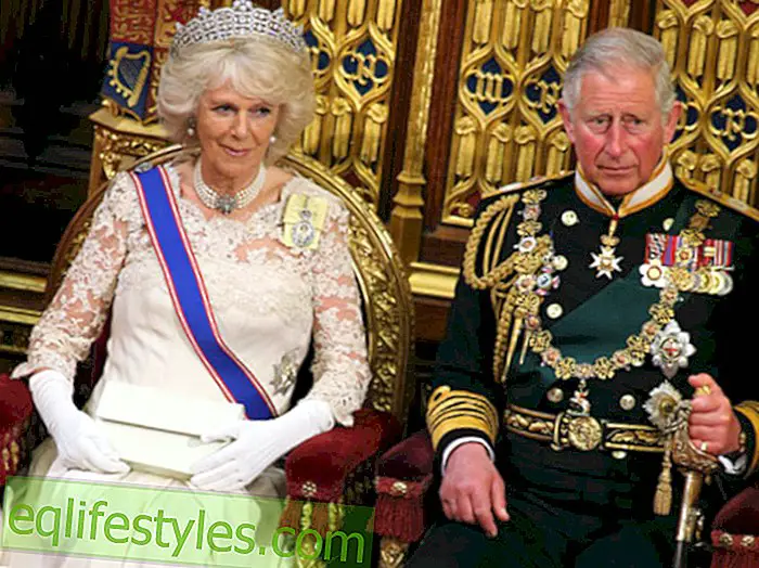 Charles y Camilla: fecha de nacimiento del bebé de Kate firmemente programada