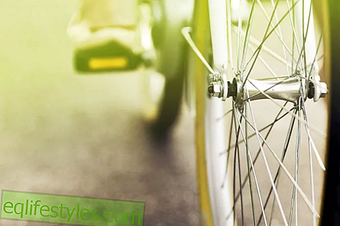 Life: SHAPE test: e-bike10 facts about the e-bike
